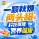 金秋金陵，第115届秋季全国糖酒会，食饮新航标，指引方向